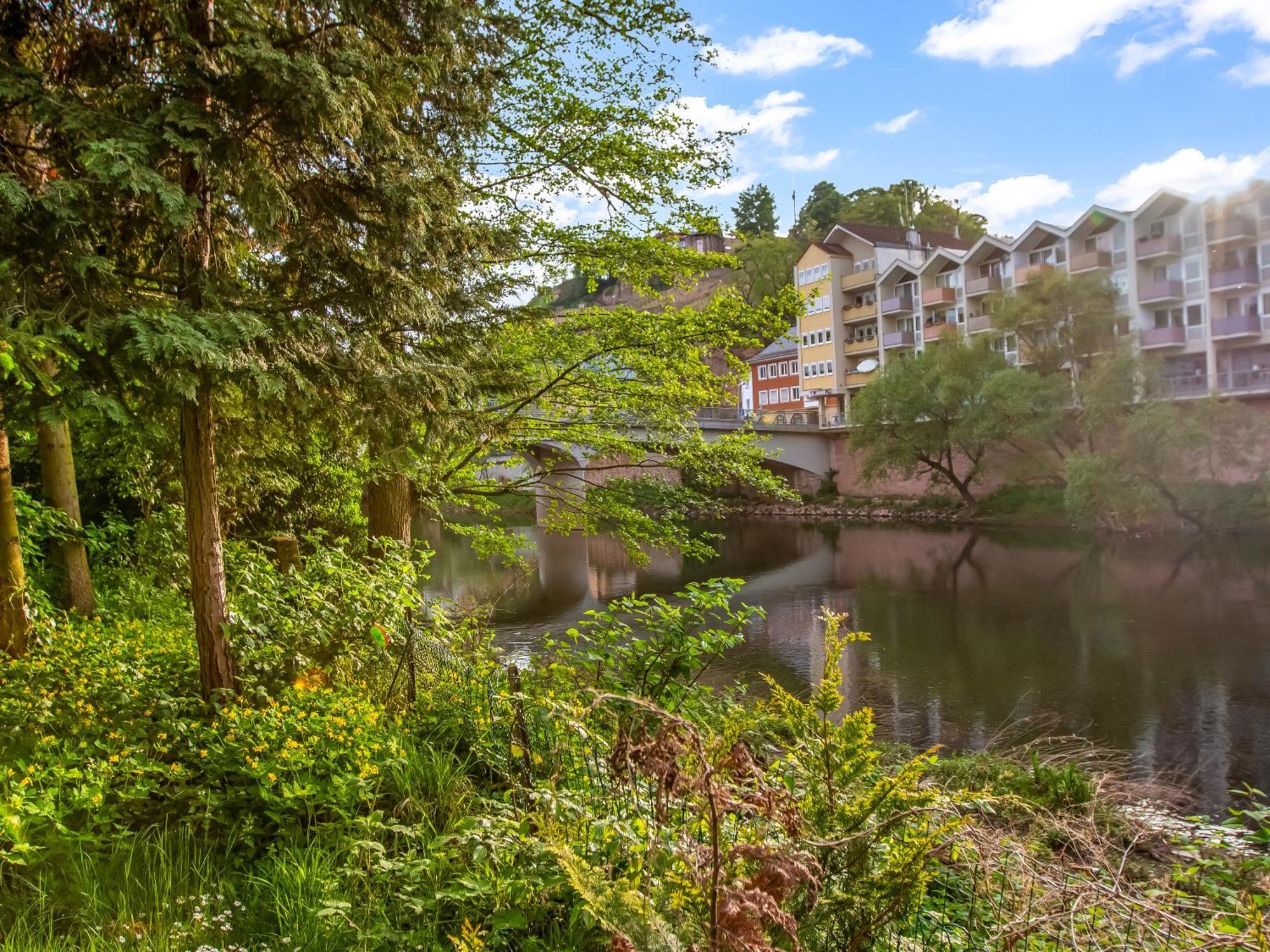 Altstadt Apartment Am Wasser Mit Parkplatz Und Riesigem Garten バート・クロイツナハ エクステリア 写真